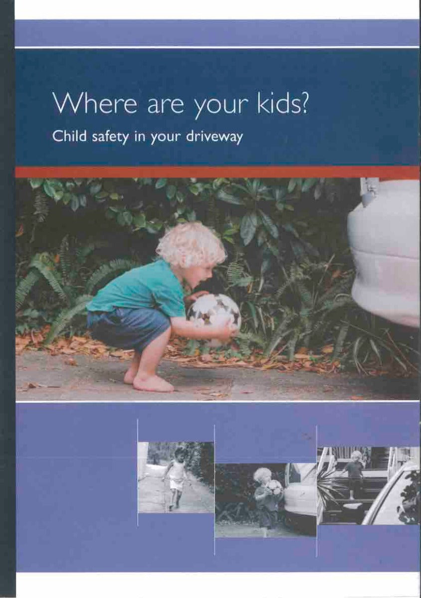 Rear Camera and 7" Monitor System >