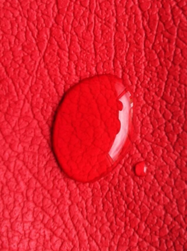 Car Paint & Fabric Protection*