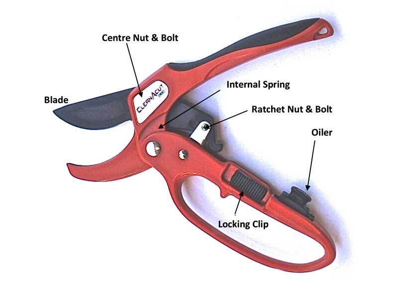 Australia's Favourite Ratchet Secateur With Sharpener  - Power Cut - 30% Less Effort -- #1 For Arthritis Sufferers