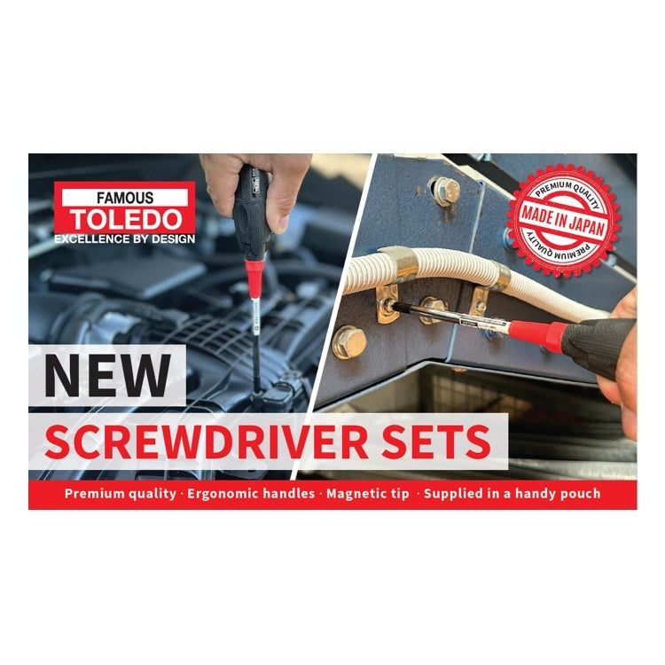 Toledo Ergo-Line 6 Piece Screwdriver Set