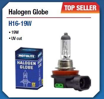 ProKit H16 19W Halogen Globe