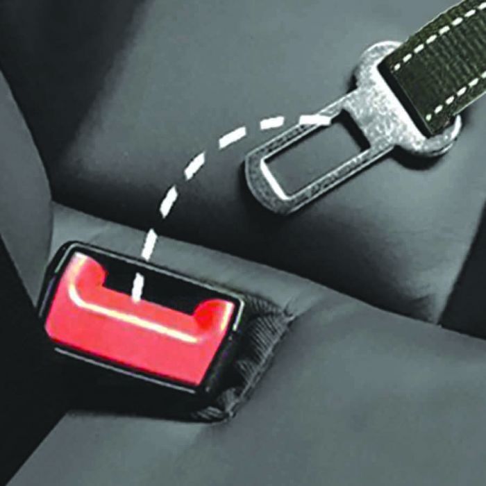 ProKit Stride N Ride Pet Leash