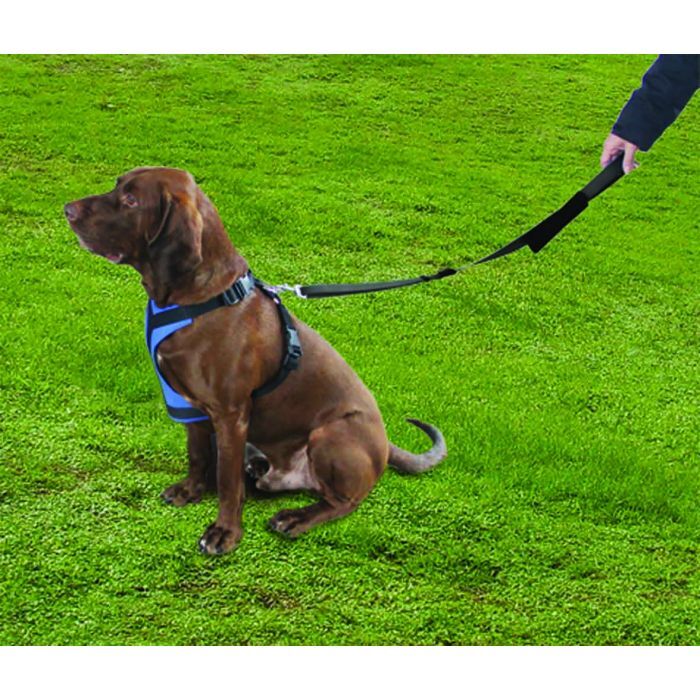 ProKit Stride N Ride Pet Leash