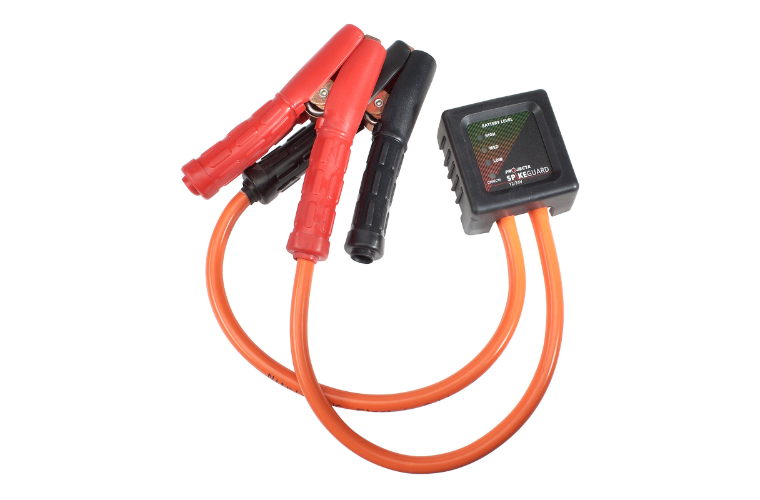 Projecta 12/24V Spikeguard Servicemate SG330