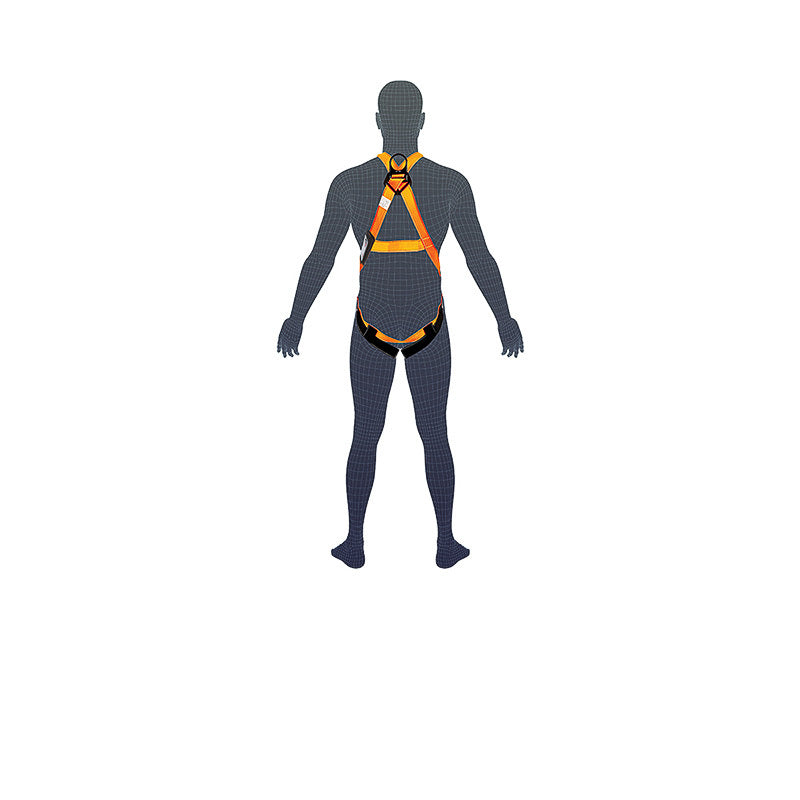 Essential Harness Standard (M L)