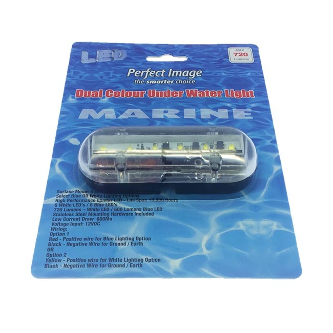 Dual Colour Under Water Light