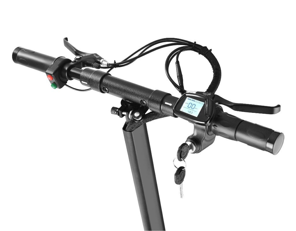 Foldable Electric Scooter 350 Watt Lithium Battery