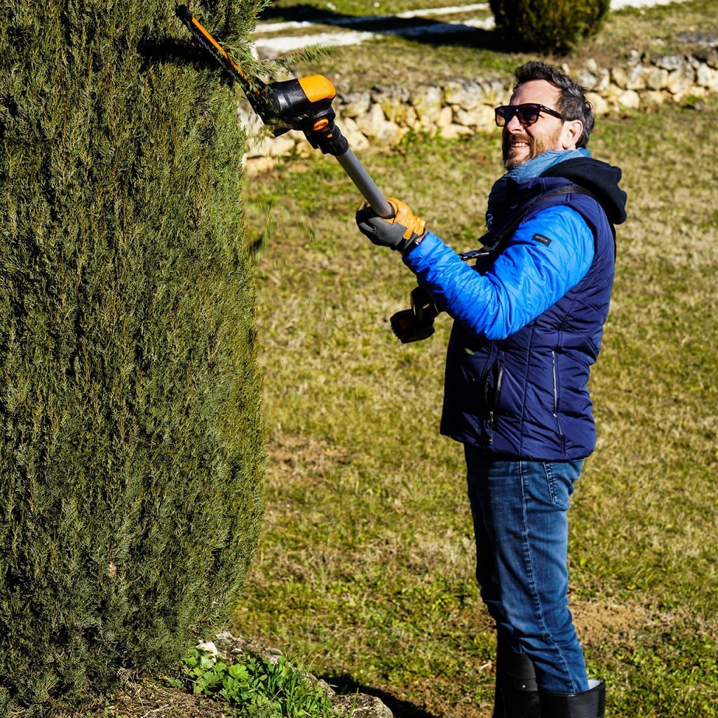 WORX 20V Cordless Pole Hedge Trimmer Skin (POWERSHARE Battery / Charger not incl.) - WG252E.9