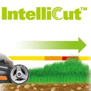 WORX 40V (20V x 2) 34cm Push Lawn Mower Kit w/ 2x POWERSHARE Batteries & Charger - WG779E