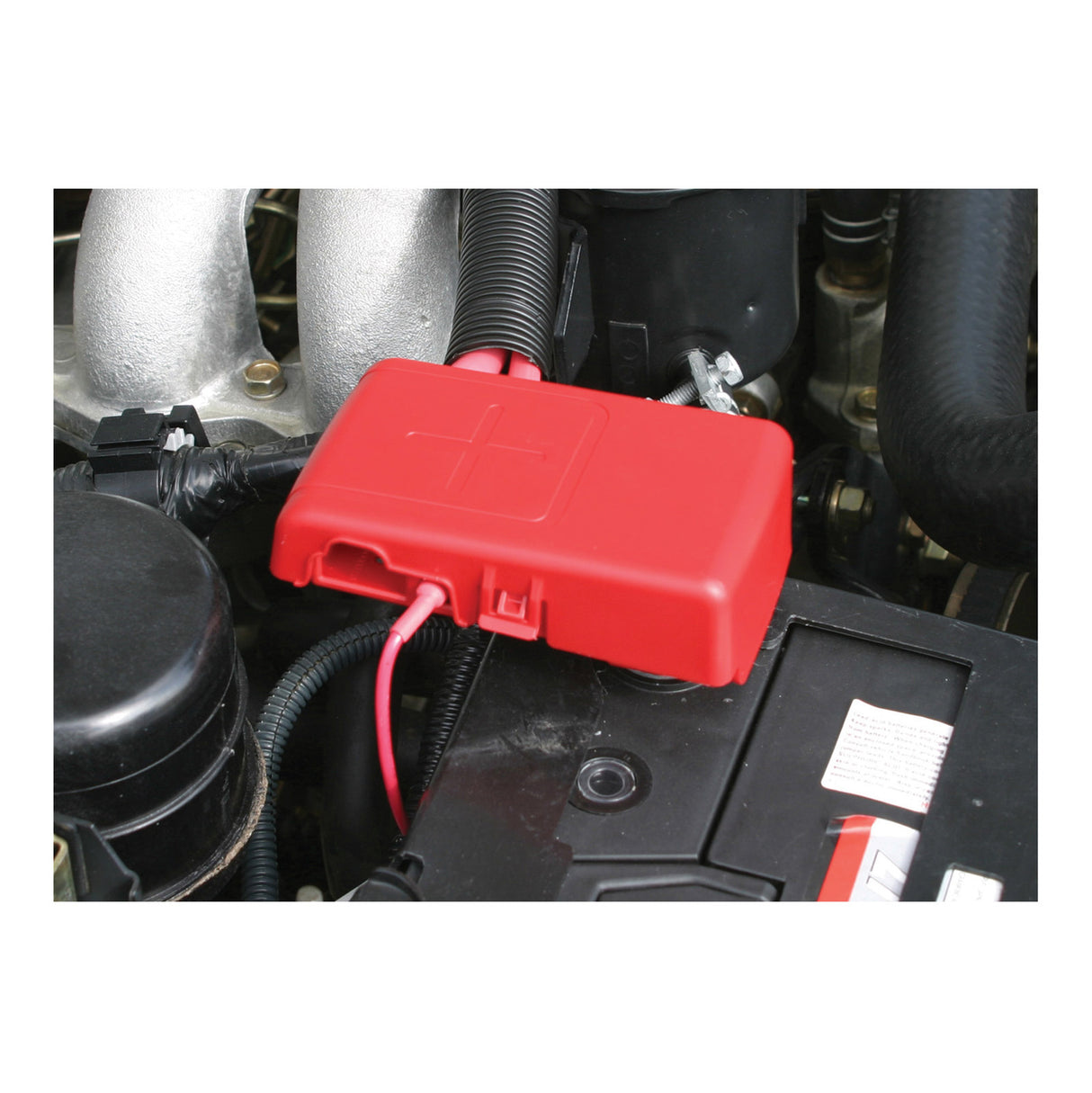 Projecta Bt950-P1 Fused Battery Distribution Terminal Clamp Fuse Cover Connector