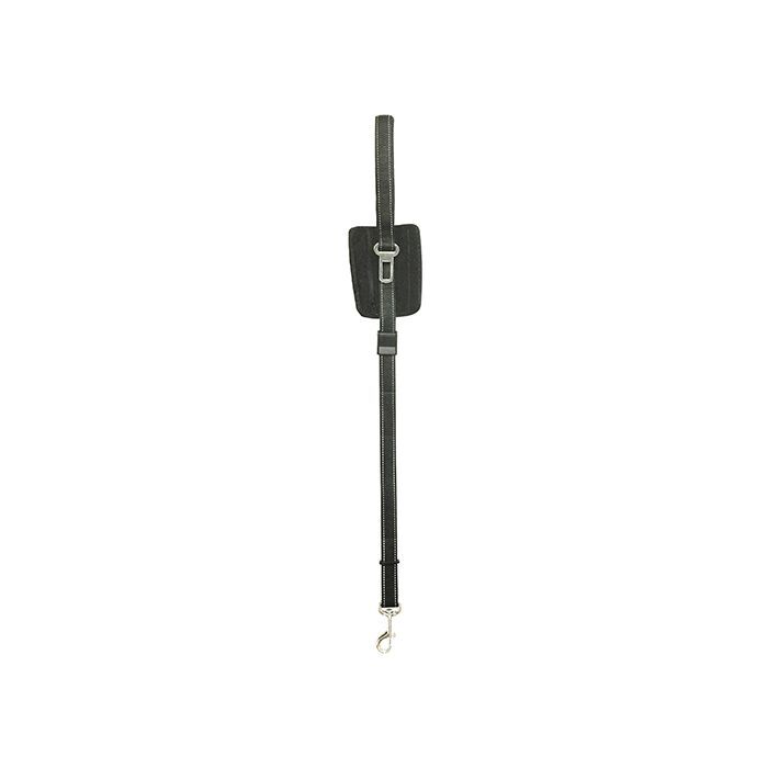 ProKit Stride N Ride Pet Leash
