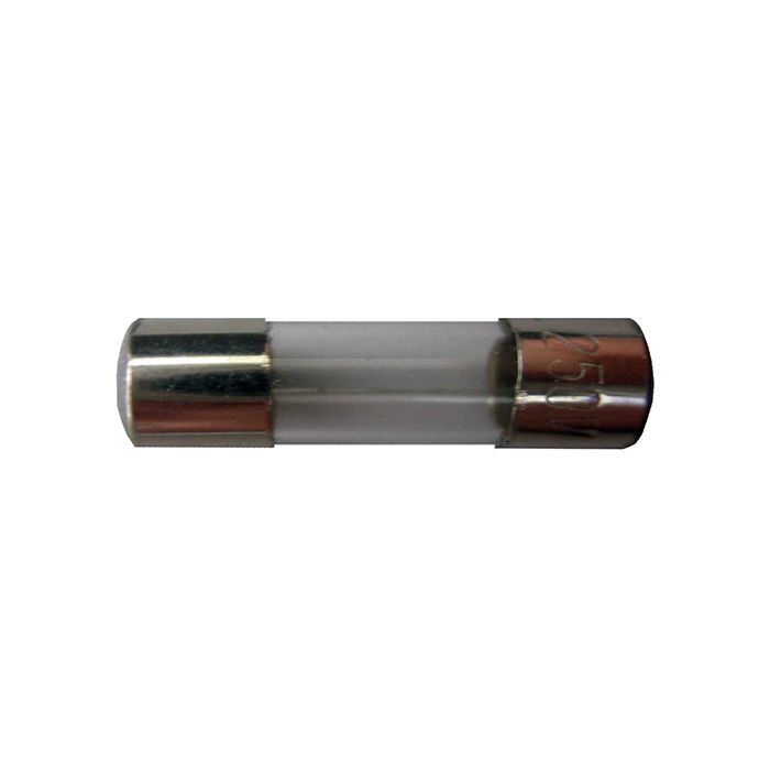 Charge Radio Fuse 2A 10Pc