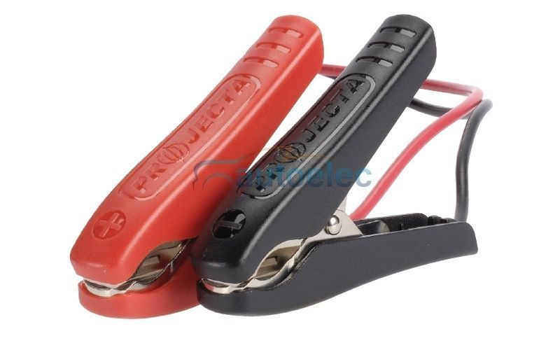 Projecta 2-25A 12V Batt Chgr Wshop