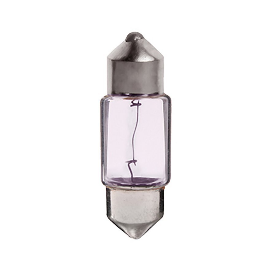 Festoon 12V 10W 10mm x 31mm