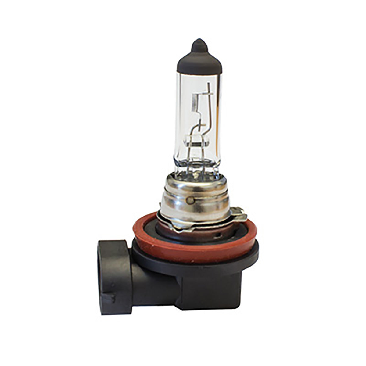 Halogen Globes H11 12V 65W Headlight